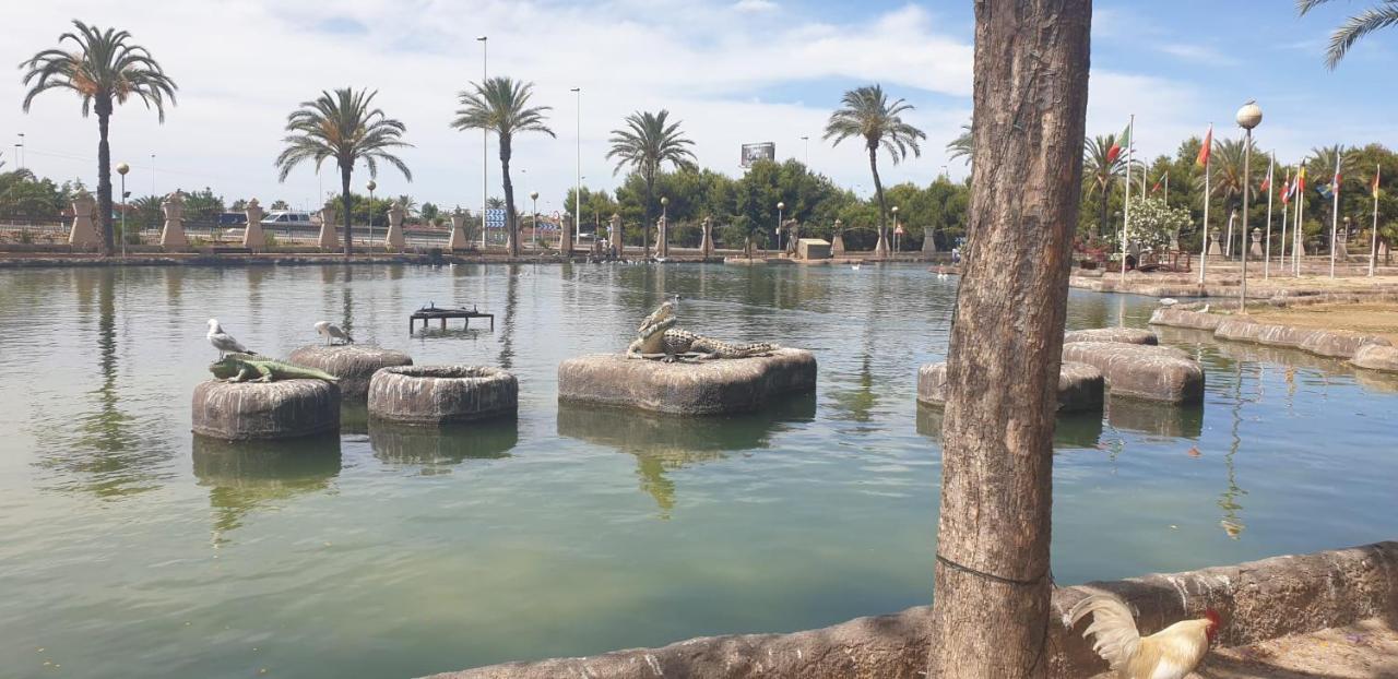 Schoene Wohnung Mit Pool , Wi-Fi Und Privat Garage Torrevieja Exterior foto